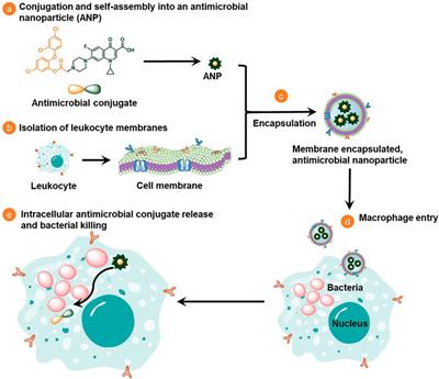 Nanomedicines for the Efficient Treatment of Intracellular Bacteria: The “ART” Principle